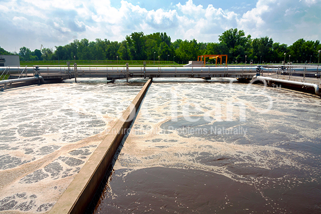 xử lý nước thải nhiễm mặn cao từ 1 đến 3% bằng chế phẩm vi sinh EcoClean 102