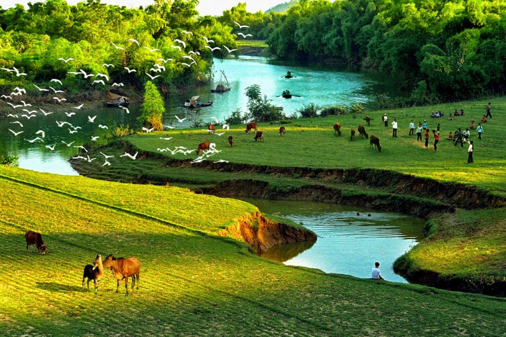Bộ ảnh thiên nhiên tuyệt đẹp khiến bạn càng yêu quê hương Việt Nam