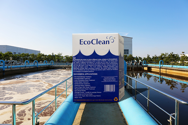 Vi sinh xử lý nước thải ngành giấy - EcoCleanTM 118