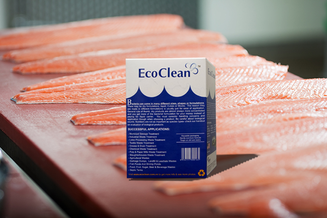 Vi sinh xử lý nước thải ngành giết mổ và chế biến thủy sản - EcoCleanTM 205
