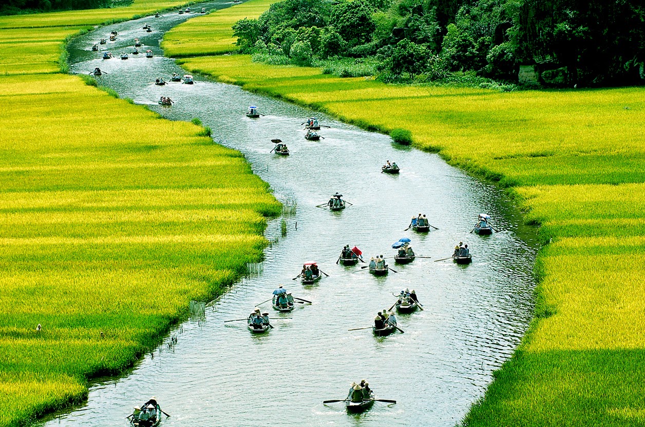Khu du lịch tuyệt đẹp bên bờ sông Hồng, hình dáng của làng quê Việt