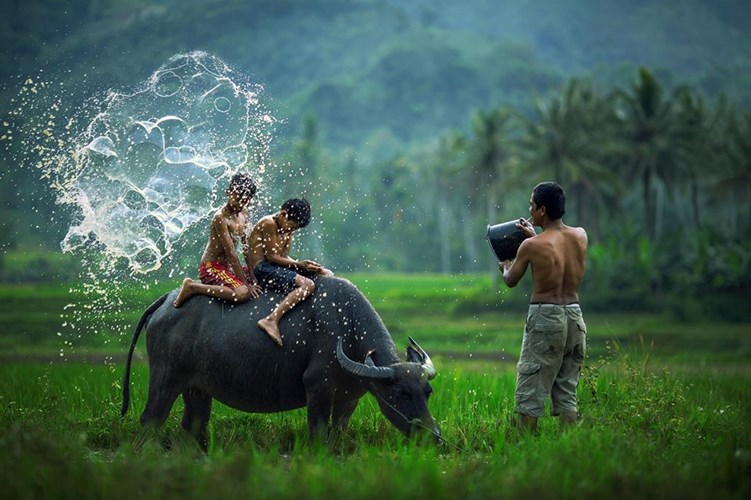 Thiên nhiên luôn có những bí mật khám phá, bức ảnh này sẽ giúp bạn khám phá và cảm nhận sự tuyệt diệu của thiên nhiên.