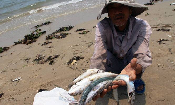 Cơ quan chức năng công bố thông tin về hải sản miền Trung sau sự cố Formosa gây ô nhiễm môi trường 3