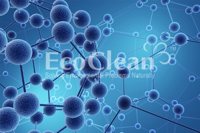 dưỡng chất cho vi sinh ecoclean m100