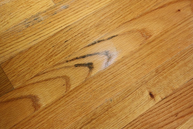 Làm thế nào để diệt nấm mốc trên sàn gỗ?