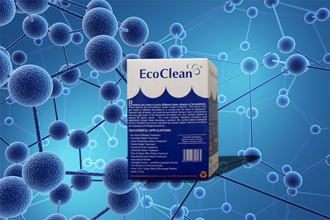 Dưỡng chất cho vi sinh - EcoCleanTM M100